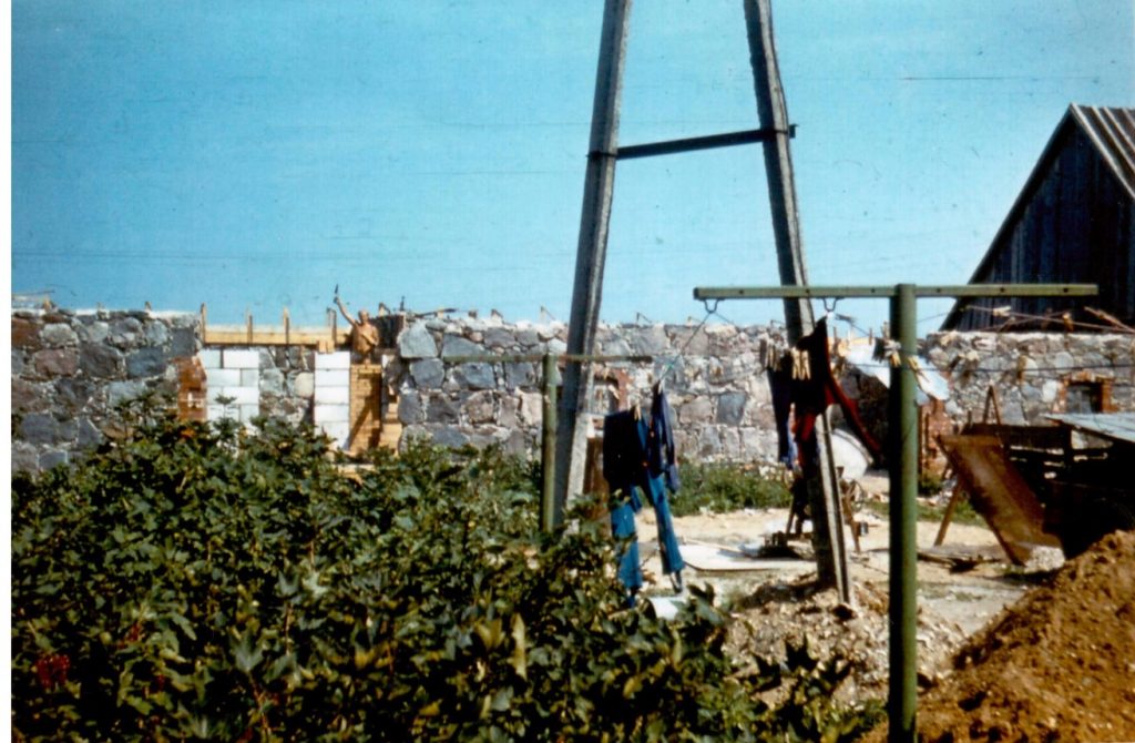 Peedu ehitab lauta 1986